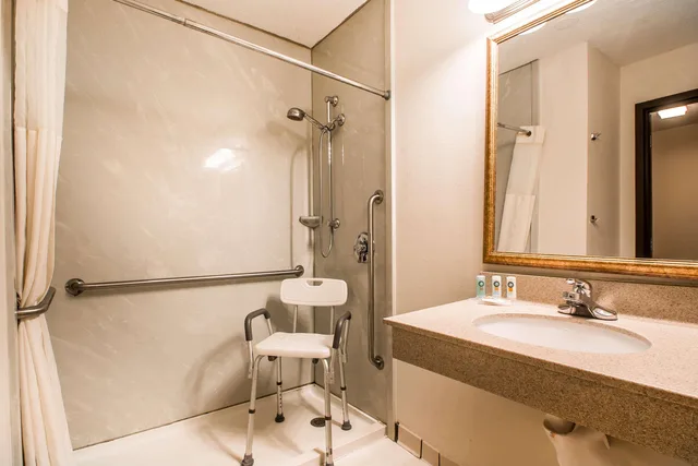 غرفة بسرير كينج لذوي الإعاقة، Quality Inn Morris I-80 4/4