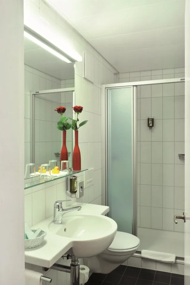 غرفة سوبيريور مفردة بسرير كوين، Sorell Arabelle Hotel 4/6
