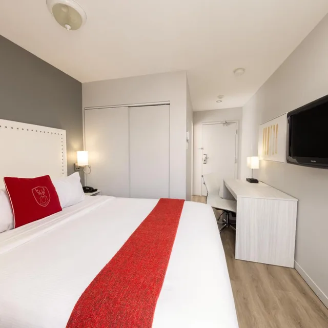 Budget, King Bed, Hotel Du Nord 4/8