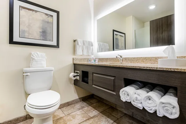 جناح بسرير كينج، Comfort Inn & Suites Medina NY near Erie Canal 3/3