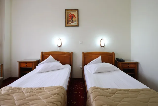 Room, Twin Beds, Palace View، Hotel Moldova 5/10
