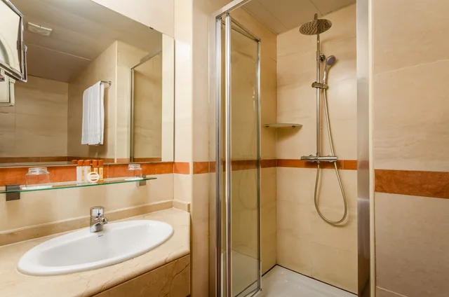 Superior, Single, Double or Twin Bed, City View، Petit Palace Eixample (ex Sunotel Central) 5/5
