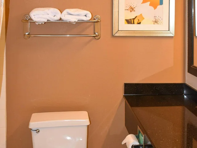 غرفة بسرير كوين، Comfort Inn & Suites Texas City I-45 2/2