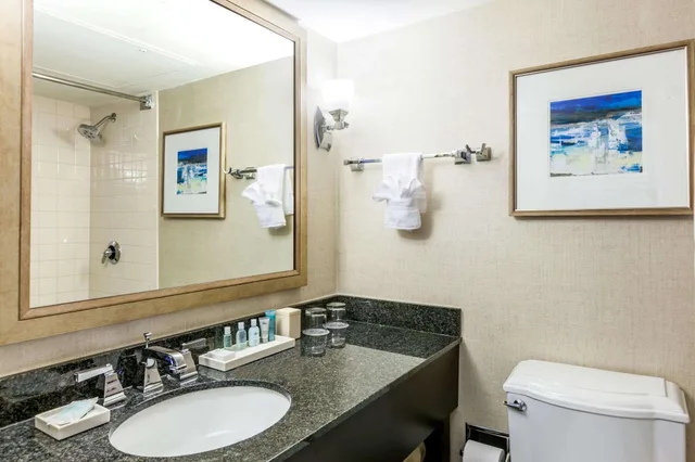 Room, 2 Double Beds, Sun Deck، Mills House Charleston, Curio Collection by Hilton 3/3