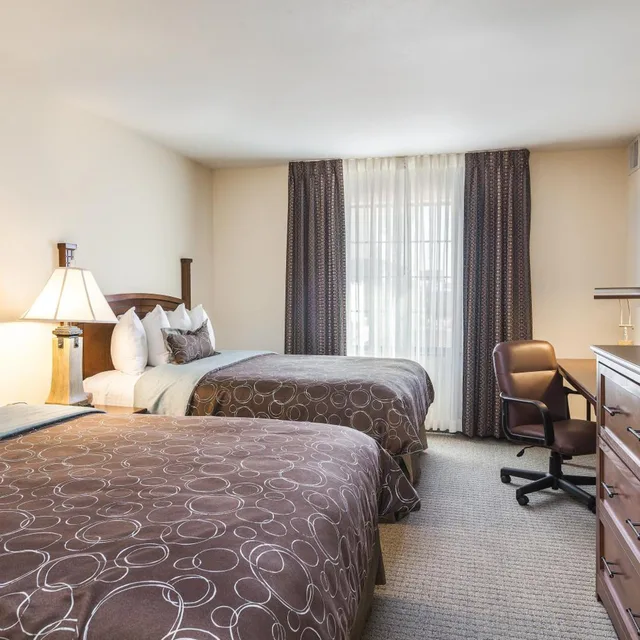 جناح ديلوكس، Staybridge Suites El Paso Airport Area 1/2