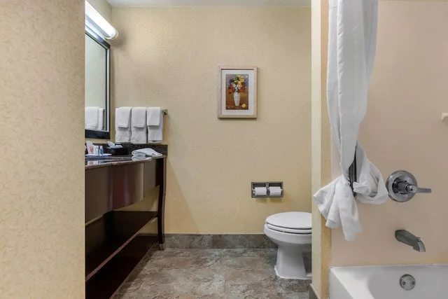 غرفة قياسية بسريرين مزدوجين، Comfort Inn & Suites Camden, SC 8/8
