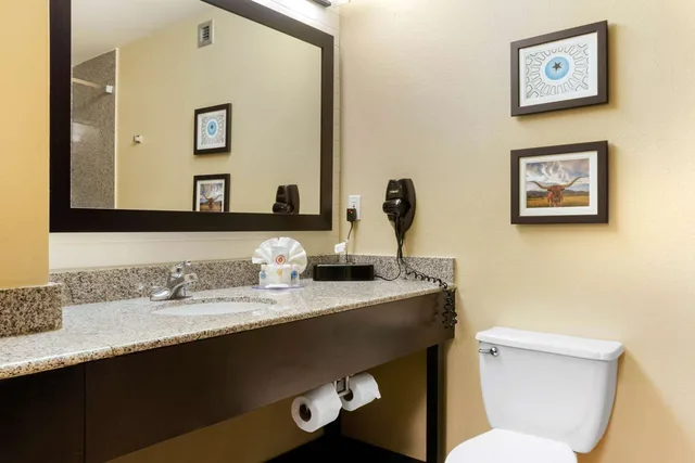 جناح بسرير كينج، Comfort Inn and Suites Amarillo 2/2