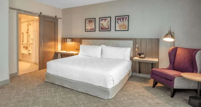 جناح استوديو بسرير كينج مع أريكة لذوي الإعاقة، Hilton Garden Inn Boston Logan Airport 1/1