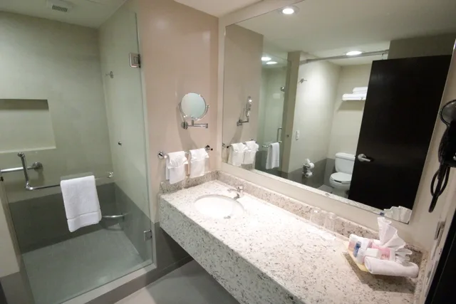 غرفة بسريرين مزدوجين لذوي الإعاقة، Crowne Plaza Leon 4/4