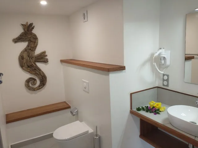 استوديو غراند كبير بسرير كوين بإطلالة على البحر بمطبخ صغير، Habitation Grande Anse 4/6