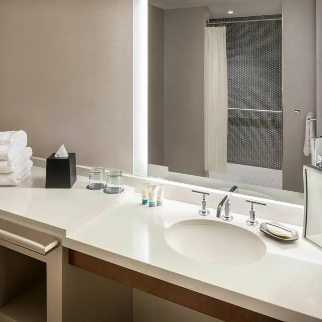 Guest Room, King Bed, Park View, The Westin South Coast Plaza 8/13