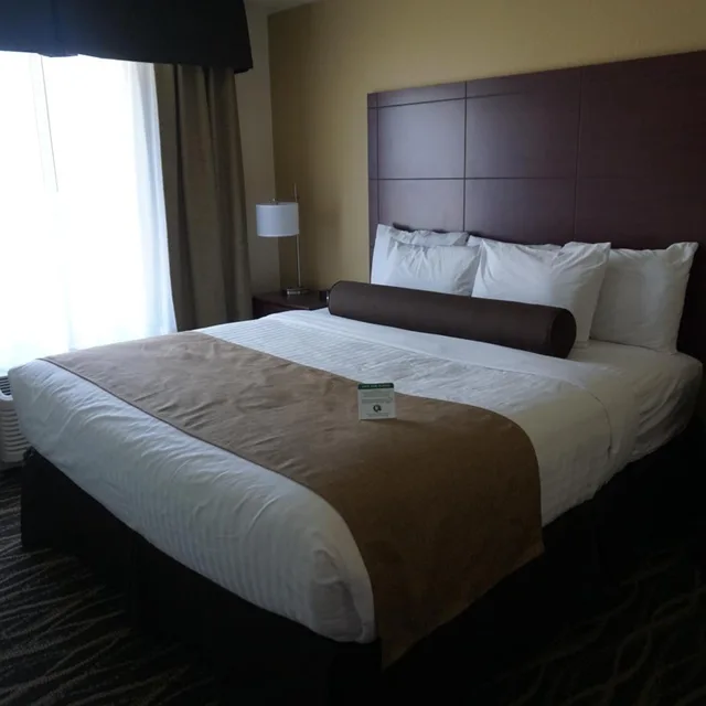 غرفة ديلوكس بسرير كينج، Cobblestone Hotel & Suites - Chippewa Falls 3/8