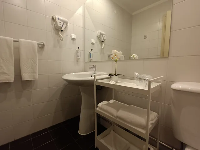 غرفة ديلوكس بسرير مزدوج أو سريرين منفصلين، Vilar Oporto Hotel 5/8