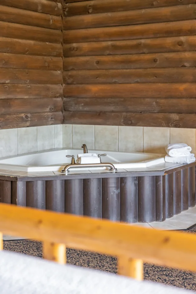 Expanded, King Bed, Jetted Tub، Stoney Creek Hotel La Crosse - Onalaska 1/1
