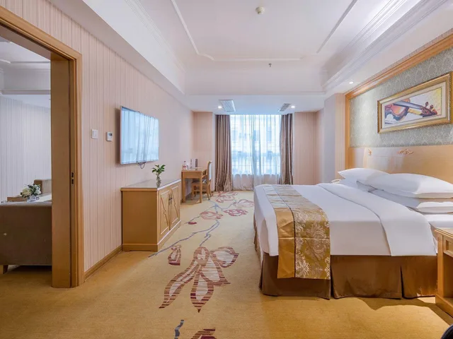 Vienne Hotel (Nanning Qingxiu Mountain), Nanning 19/33