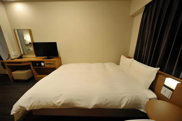 غرفة اقتصادية بسرير مزدوج، Dormy Inn Akihabara 1/2
