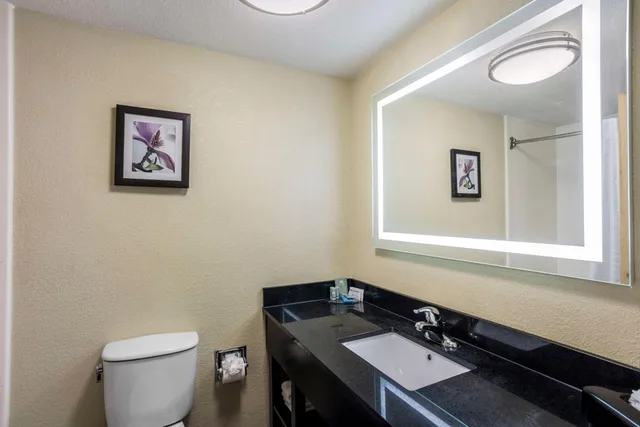 جناح بسرير كينج مع أريكة، Best Western Harrisburg North 4/4