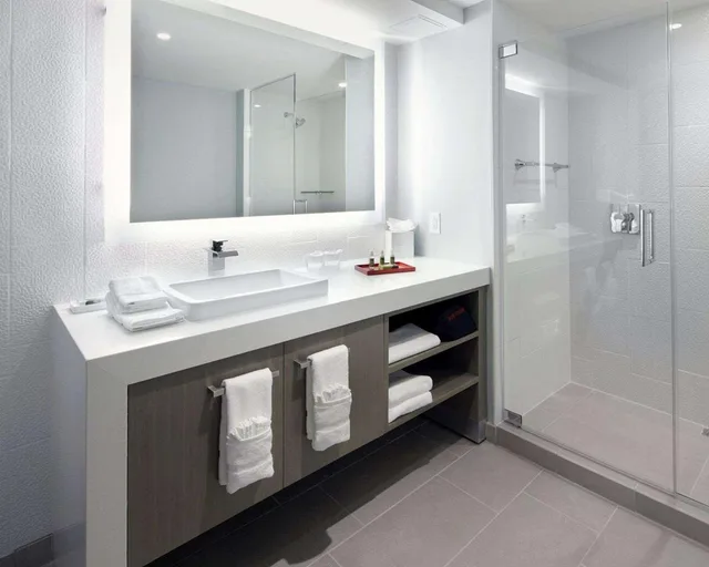 Specialty, King Bed, Sofa، Hyatt Washington DC / Convention Center 6/6