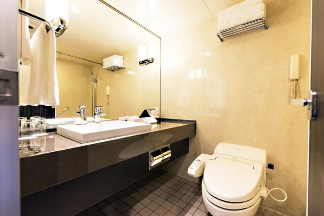 غرفة قياسية بسريرين منفصلين في طابق مرتفع، Ana Crowne Plaza Chitose 4/4