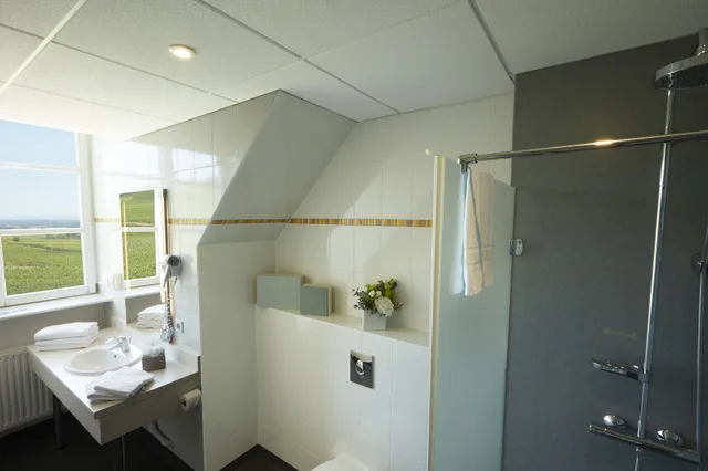 Family, 1 Double and 3 Single Beds، Qualys Hotel Val Vignes 5/5