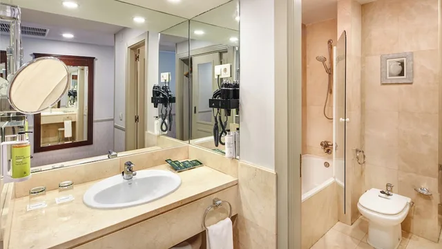 غرفة أساسية مفردة، Sercotel Gran Hotel Conde Duque 7/9