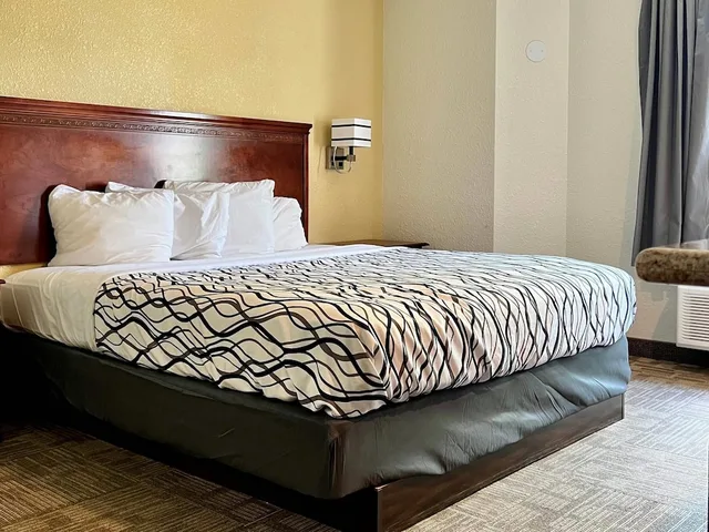 غرفة بسرير كينج يُسمح فيها بالحيوانات الأليفة، Boise Airport Hotel 5/5