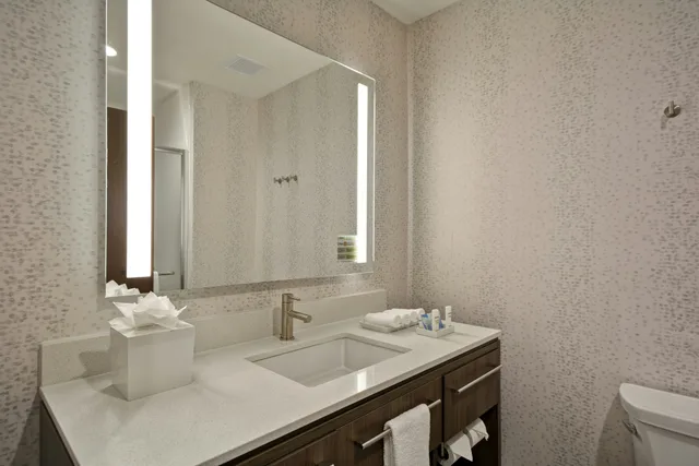 استوديو بسرير كينج لذوي الإعاقة، Home2 Suites By Hilton Fairview/Allen 4/6