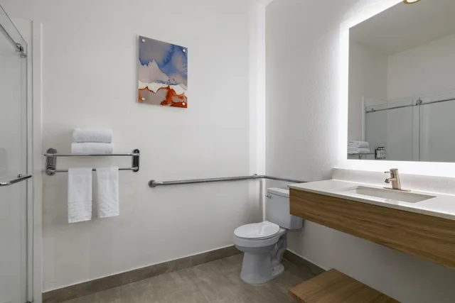 Room, King Bed, Sofa, Working Area, Accessible، Holiday Inn Express Hotel And Suites Houston Downtown Convention Center 3/3