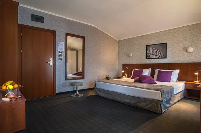 غرفة قياسية مفردة، Forum Hotel 1/1