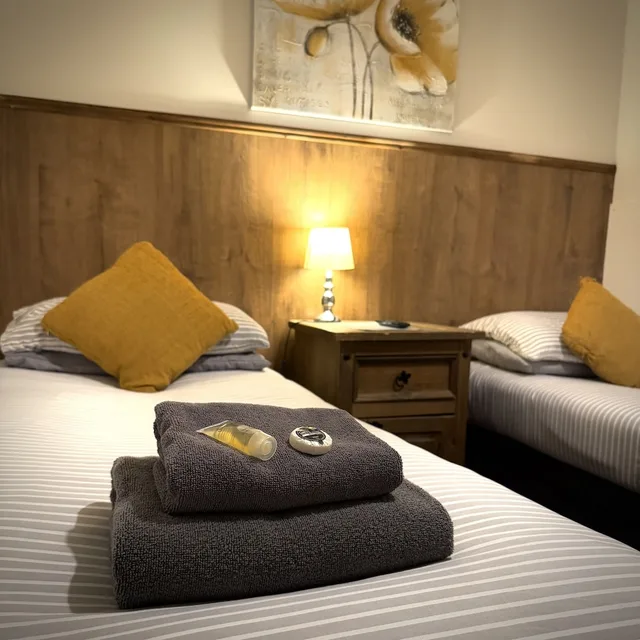 غرفة قياسية بسريرين منفصلين، Riverside Hotel Bed and Breakfast 1/2