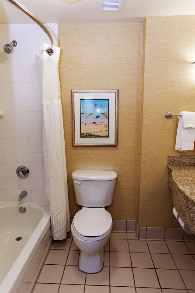 Standard, King Bed, Lateral Side Ocean View, Sofa, Balcony، Hilton Garden Inn Outer Banks/Kitty Hawk 7/8
