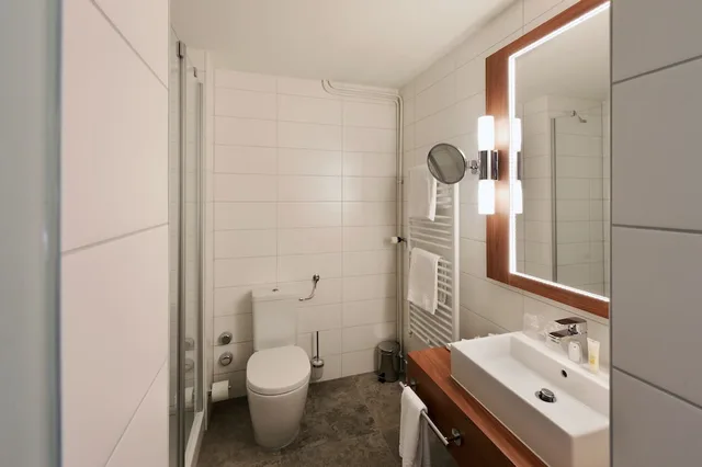 غرفة بزنس بسريرين منفصلين، City Hotel Biel Bienne 2/3