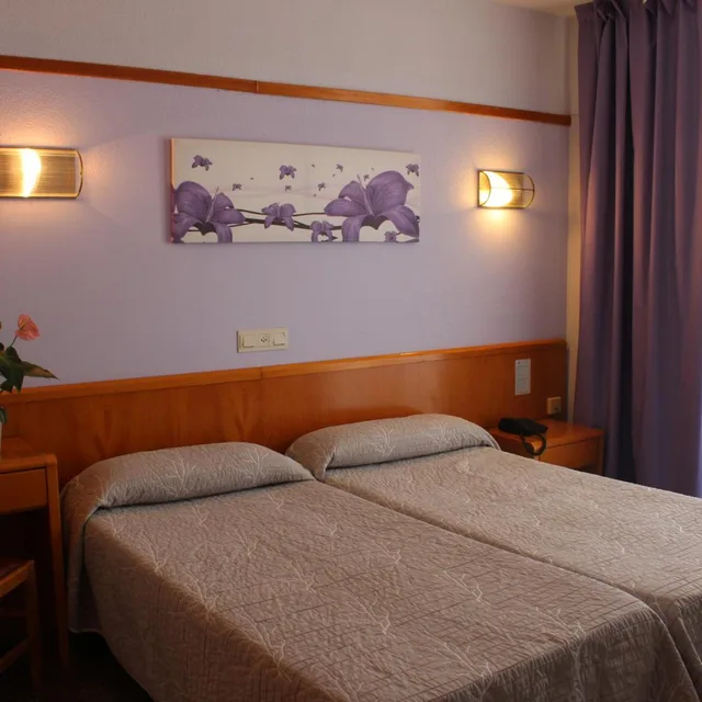 غرفة بسريرين منفصلين بشرفة، Hotel Esplendid 1/8
