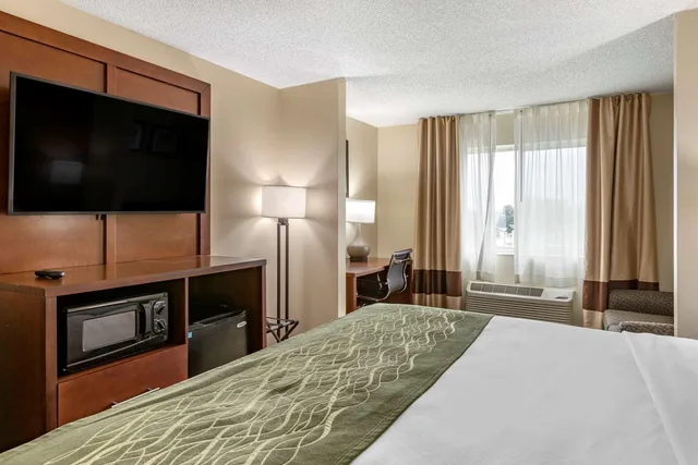 جناح بسرير كينج، Comfort Inn Suites Dimondale Lansing 1/2