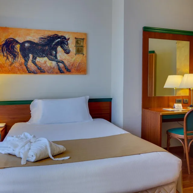Superior, Single, Hotel Raffaello 3/5