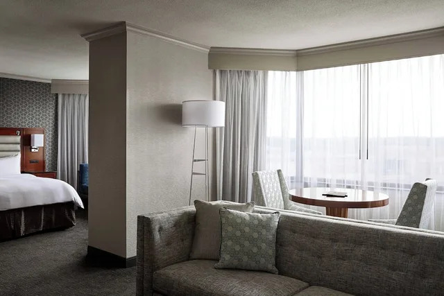 1 Bedroom, Pure, Junior, King Bed، Crystal Gateway Marriott 6/6