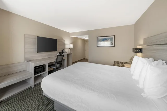 غرفة قياسية بسرير كينج لذوي الإعاقة، Best Western Plus Twin View Inn & Suites 3/6
