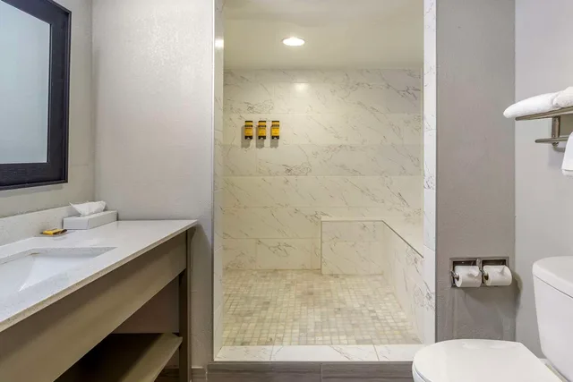 جناح بسرير كينج مع أريكة، Best Western Plus Knoxville Cedar Bluff 3/3