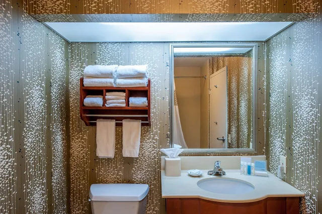 غرفة بسرير كينج مع أريكة، Hampton Inn By Hilton Bowling Green 3/4