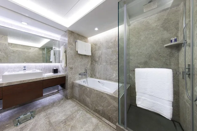 Elite, Harbour View, Club Lounge Access, New World Millennium Hong Kong 9/9
