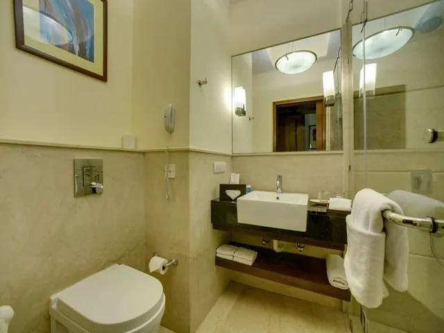 غرفة سوبيريور بسرير مزدوج، The Muse Sarovar Portico, Nehru Place 9/10