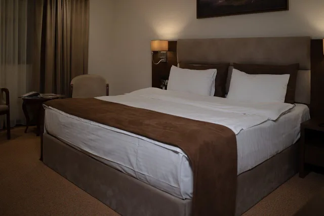 Basic, King Bed, Diamond Hotel Baku 3/10