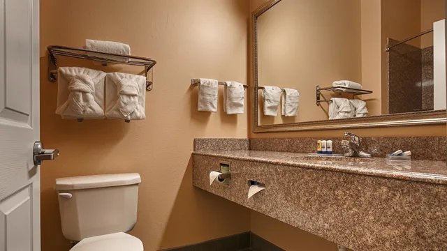 غرفة قياسية بسريرين كوين، Best Western Plus New Caney Inn and Suites 10/10