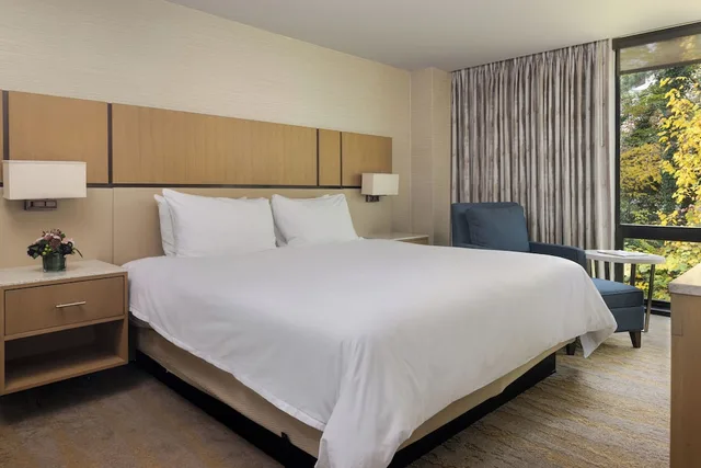 جناح بسرير كينج مع أريكة، JB Duke Hotel 2/8