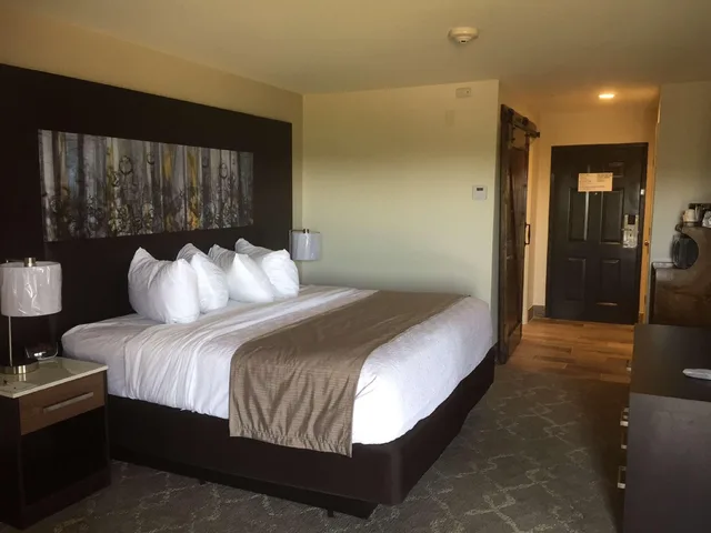 غرفة لذوي الإعاقة، Aiden by Best Western Warm Springs Hotel and Event Center 5/7