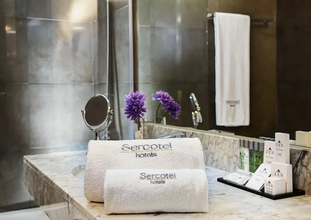 غرفة كلاسيكية مفردة بسرير مزدوج، SERCOTEL AMISTER ART HOTEL 2/2