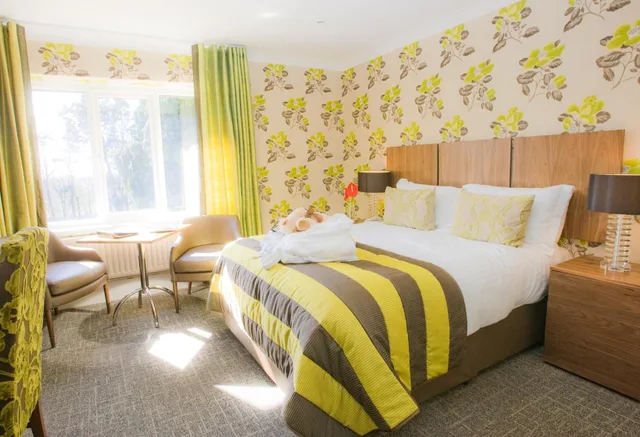 غرفة قياسية بسرير مزدوج، The Coed y Mwstwr Hotel 1/5