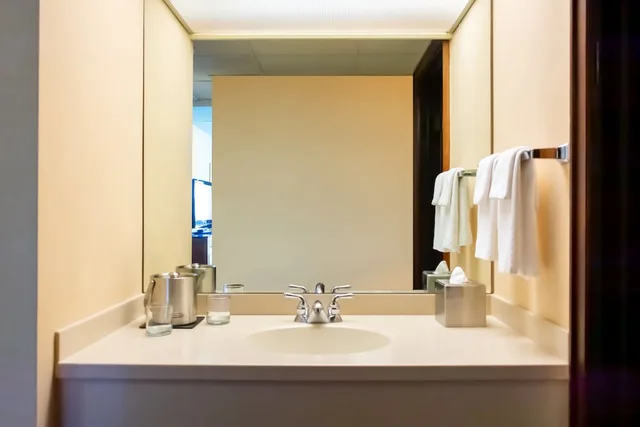 Tower, Metro, King Bed, Balcony، Doubletree Hotel San Jose 8/9