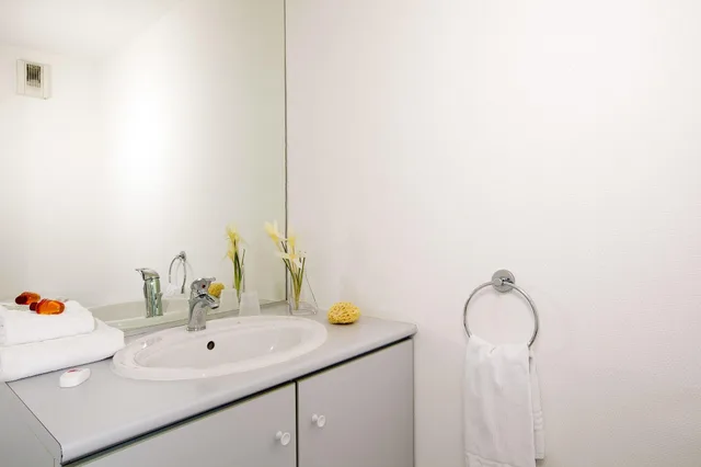 دوبلكس، Sajours Affaires Nantes Ducs de Bretagne 4/6