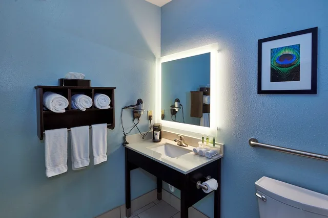 غرفة قياسية بسريرين كوين لذوي الإعاقة، Holiday Inn Express Suites Birmingham South Pelham 4/5